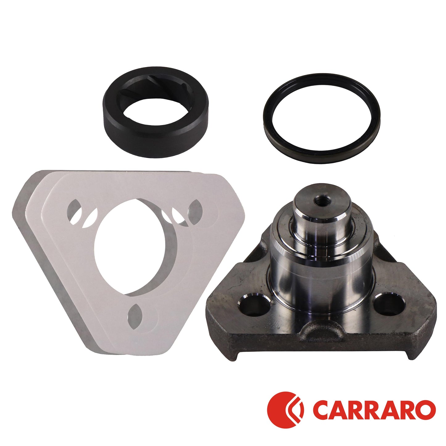 8302362 Carraro Upper Kingpin Bearing & Seal Kit, MFD