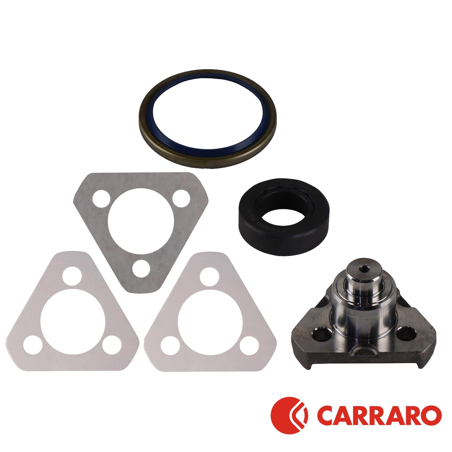 8302363 Carraro Lower Kingpin Bearing & Seal Kit, MFD