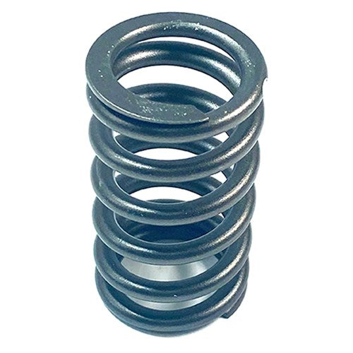HCC3940279 Valve Spring