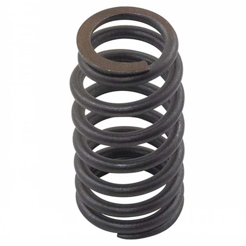 HCRNRE516486 Valve Spring, Set of 2