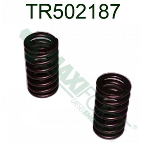 HCTR502187 Valve Spring