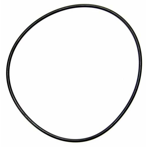 252556 IPTO Bearing Cage O-Ring