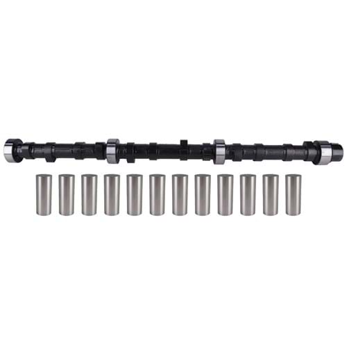 675625 Camshaft w/ Gear - Reman, w/ New Lifters