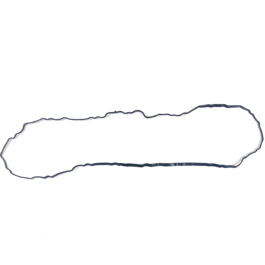 HCB317-3064 Valve Cover Gasket