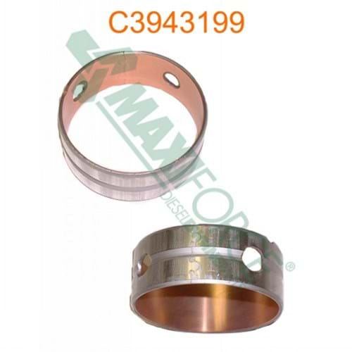 HCC3943199 Cam Bearing