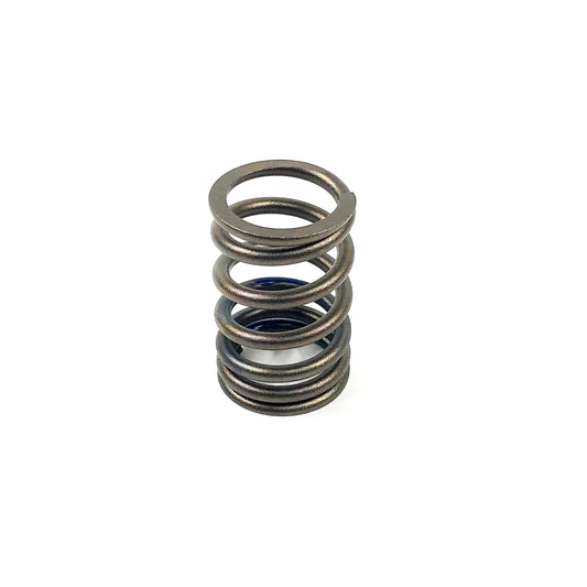 HCTAT211702 Valve Spring