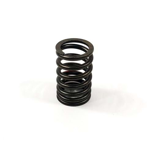 HCTMIU800393 Valve Spring