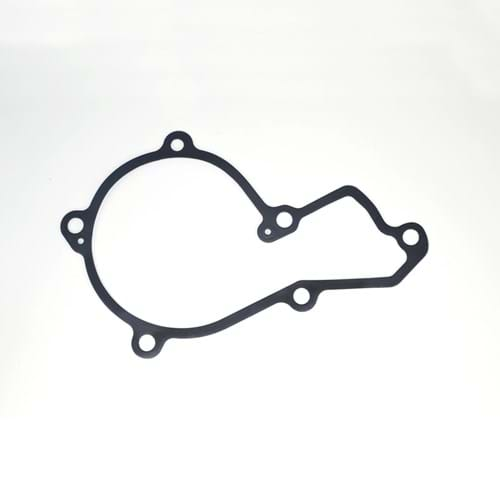 HCTR119383 Water Pump Gasket