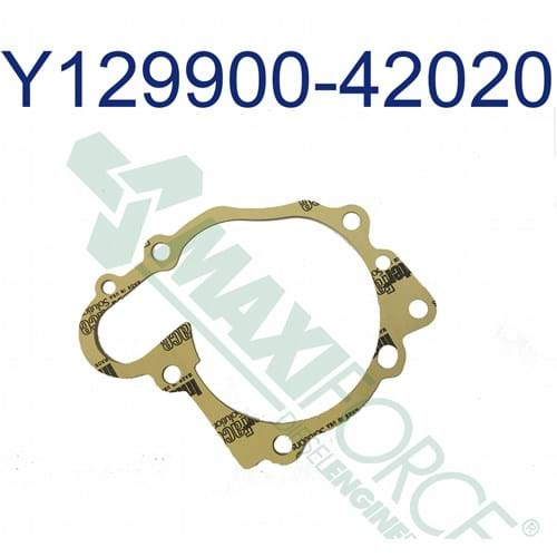 HCY129900-42020 Water Pump Gasket