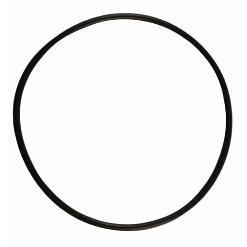 2385243 IPTO Bearing Cage O-Ring