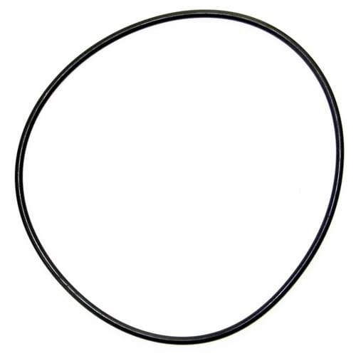 252556  IPTO Bearing Cage O-Ring